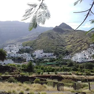 Lagarto , Agaete (Gran Canaria) Spagna